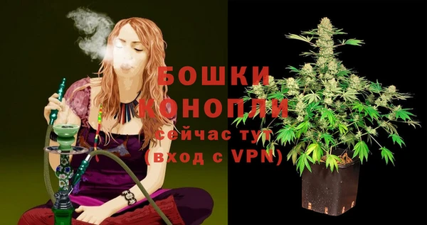 индика Верхнеуральск