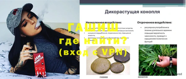 индика Верхнеуральск