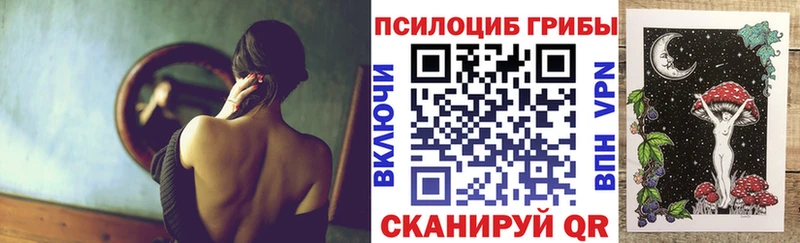 Купить где  Луза  Галлюциногенные грибы MAGIC MUSHROOMS 